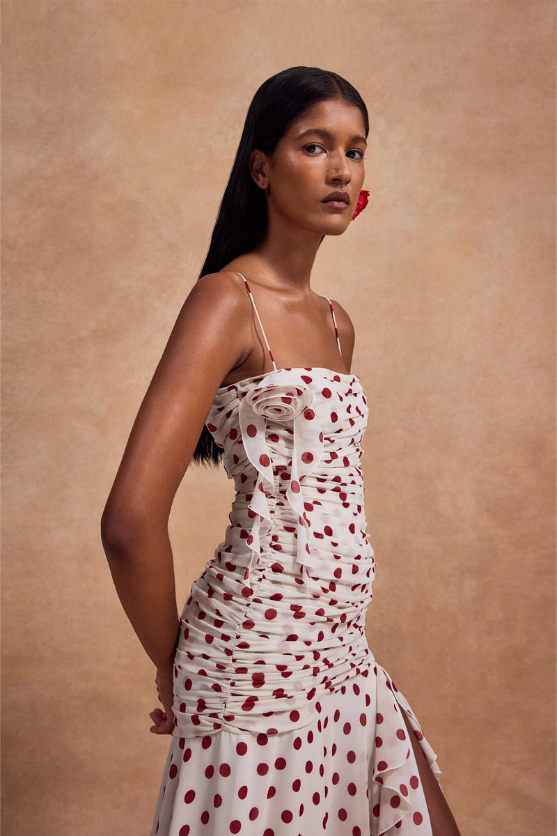 De La Vali Rosado Maxi Dress in Red Polka Dot– Willow & Wolf Marlborough