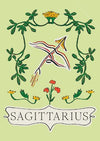 Sagittarius - Planet Zodiac (Hardback)