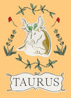 Taurus - Planet Zodiac (Hardback)