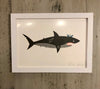 Petra Boase Framed Shark Print